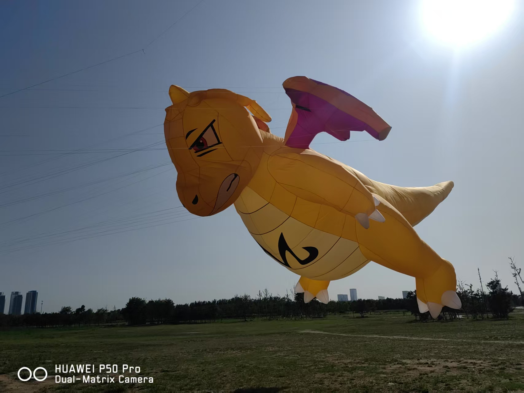 上海市软体风筝定制宣传风筝定制 - 厂家